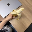 안다고 크게 달라질 것도 없었다.