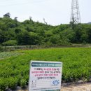 환이농장 이미지