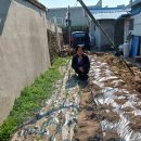 일등농약종묘도매상사 이미지