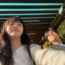 똥광 게임장 이미지