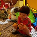 주야1리마을회관 이미지