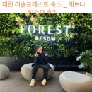 리오노래연습장 | 제천여행 제천 리솜포레스트 레스트리 S30 타워클린 객실 _해브나인스파, 사상체질스파 후기 (이용방법)