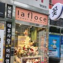 WR(서울특별시)-[동남로]-하-71 | 강동구꽃집 라플로체에서 반려식물 몬스테라 데려온 후기