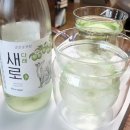[술] 롯데칠성 소주 새로 다래 맛 후기 🥝💚