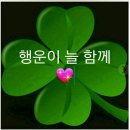 싱싱무도장 이미지