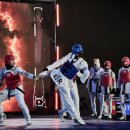 용인대챔피온태권도 이미지