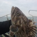 반도낚시 이미지