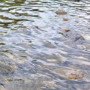 호수민박 이미지