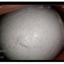 우리편한내과의원 이미지