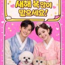 도그플러스 동물병원(미유펫 대구점) 이미지