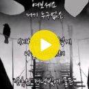 (8/10~8/11) 셀레믹스 청약 개요ㅣ조건표도 포함 이미지