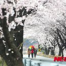 제일원떡방앗간 이미지
