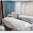플라베스 네이버블로그