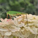 여치공원 이미지