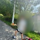 다원시스템 | 하동 도심다원 내돈내산 불친절 후기 삼각캐빈 꿀팁
