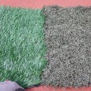 대구신흥초등학교 이미지