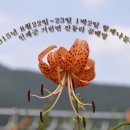 곰배령산장 이미지