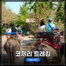 케이지씨라이프엔진 소리지사 | [태국 파타야 여행 3탄] 장거리 이동, 카오찌찬(수원창) 코끼리 트래킹 체험 후기!