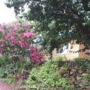 깊은산속민박 이미지