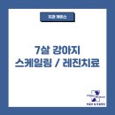 박물관옆동물병원 이미지