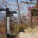 수도녹색숲모티길 이미지