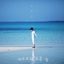 종달리 지붕 스테이 | 2박 3일 제주🏝️