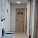 도그엔조이 이미지