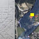 대관령약국 이미지