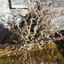 홍장농장 이미지