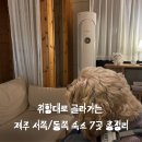 서귀포예술의전당 무료 영화 상영스타 이즈 본 | [제주도 게스트하우스 추천] 혼자 여행러를 위한 분위기별 게하 6곳 완벽 정리! (성산, 협재, 애월, 조천)
