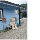 장미와 김목수 이미지