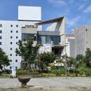 토교로 | 강릉 월화거리 근처 바로앞 소품샵 가볼만한 곳 | 포테이토교 강릉신당 내돈내산 후기