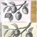 아트아이미술학원 이미지