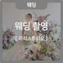 [W24-1📸] 웨딩촬영후기 - 라리스튜디오 중심 (Feat. 로즈로사, 밈, 제이웨딩)
