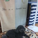 수원-0609 이미지