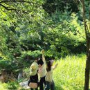 게임만드는까치 | 7세부터 참여중인 숲체험 후기, 숲체험 예약방법, 준비물, 프로그램과 숲체험 장단점