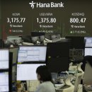 돈보따리 이미지