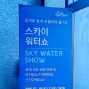 제주 스카이워터쇼 이미지