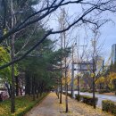 평촌과학기술고등학교 | 2023년 4회차 조경기사 필답후기(평촌과학기술고등학교)