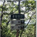 (주)금강송 이미지