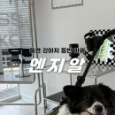 엔지알(ngr) 네이버블로그