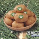 개진감자영농조합법인 이미지