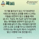 콩깍지 이미지