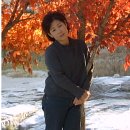 현상수배 이미지