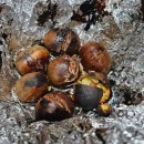 해들뫼 펜션 이미지