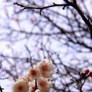 왕인박사유적지 관리사무소 이미지