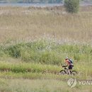 국토종주자전거길1-85 이미지