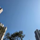 철산13단지바상가 | 철산 자이 브리에르 상가 - 아이스헌터 간식 종류가 다양해요!