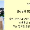 모델독켄넬 이미지