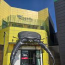 여주곤충박물관 | [여주 가볼만한 곳] 여주 곤충박물관 방문 후기